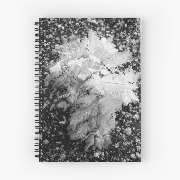 Item preview, Ice flower time 6 . Nokia 2025 bw designed and sold by Jouko Lehto Photography.