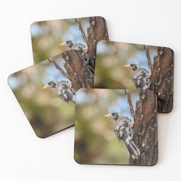 Item preview, Noisy miner. designed and sold by FallenTrickster.