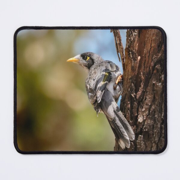 Item preview, Noisy miner. designed and sold by FallenTrickster.
