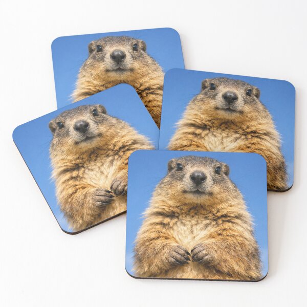 Item preview, Cute Groundhog Portrait – Funny Marmot Animal Art designed and sold by Darlin8888.