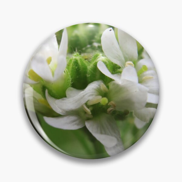 Item preview, Delicate White Wildflower Macro designed and sold by vikko-art.