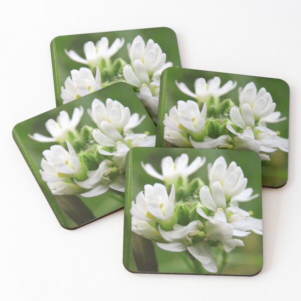 Item preview, Delicate White Wildflower Macro designed and sold by vikko-art.