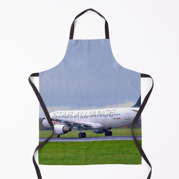 Item preview, Swiss Airbus A320-214 HB-IJN MAN to ZRH designed and sold by Skyframe Aviation.