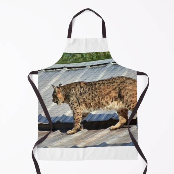 Item preview, Bobcat Strolling on a Roof designed and sold by MercerImages.