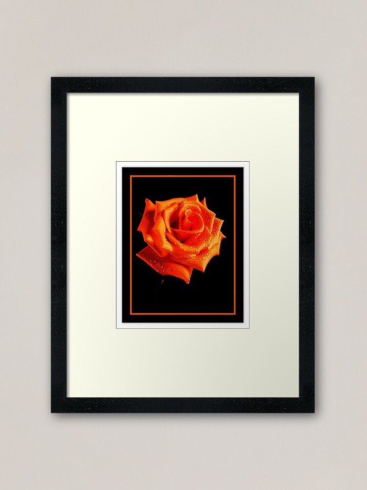 Alternate view of Orange Delight Framed Art Print