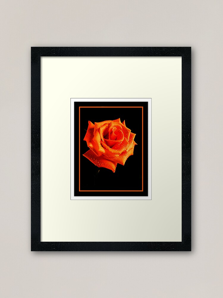 Framed Art Print, Orange Delight designed and sold by Gregory J Summers