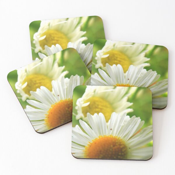 Item preview, Sunny White Daisy Macro designed and sold by vikko-art.