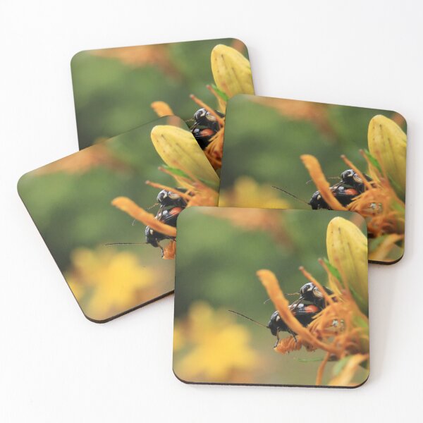 Item preview, Black Beetles on Orange Wildflower designed and sold by vikko-art.