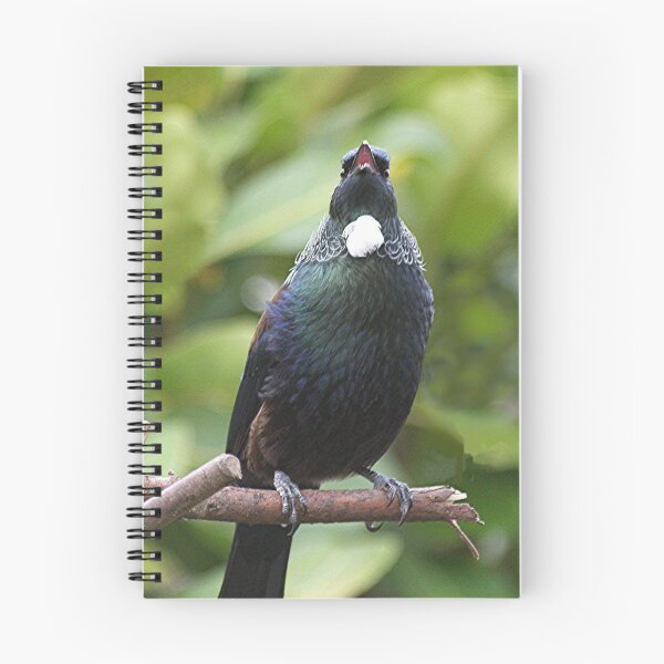 Item preview, Tui.........I'll sing you a song......!! designed and sold by Roy  Massicks.