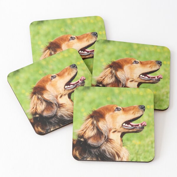 Item preview, Long-Haired Dachshund Photo | Adorable Sausage Dog Portrait | Cute Pet Wall Art designed and sold by leonwoods.