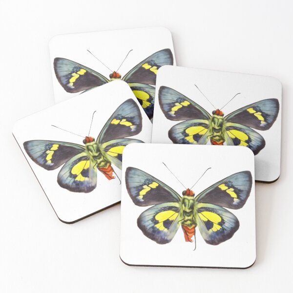 Item preview, Regent Skipper (Euschemon rafflesia) designed and sold by HOMETOWN86.