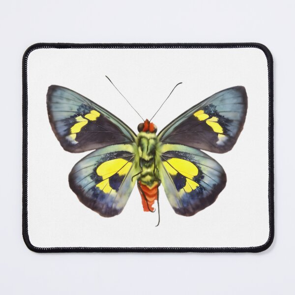 Item preview, Regent Skipper (Euschemon rafflesia) designed and sold by HOMETOWN86.