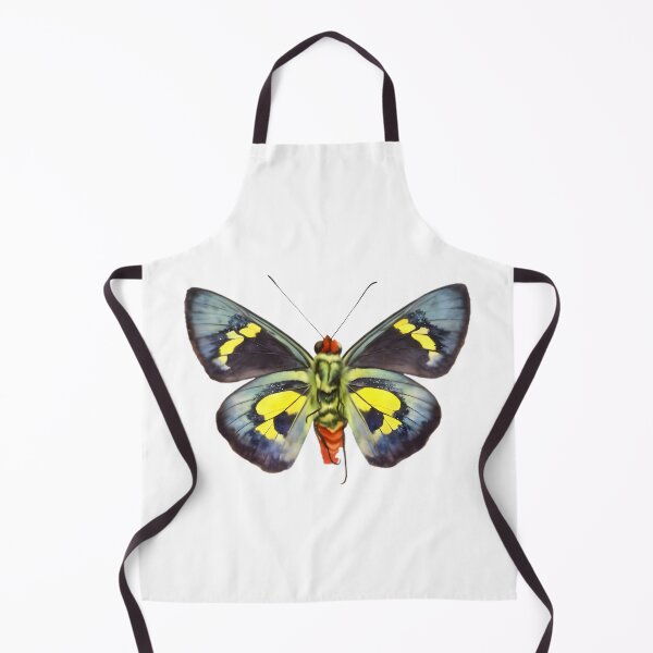 Item preview, Regent Skipper (Euschemon rafflesia) designed and sold by HOMETOWN86.