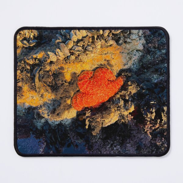 Item preview, Orange Starfish in Pacific Tide Pool designed and sold by erpiper01.