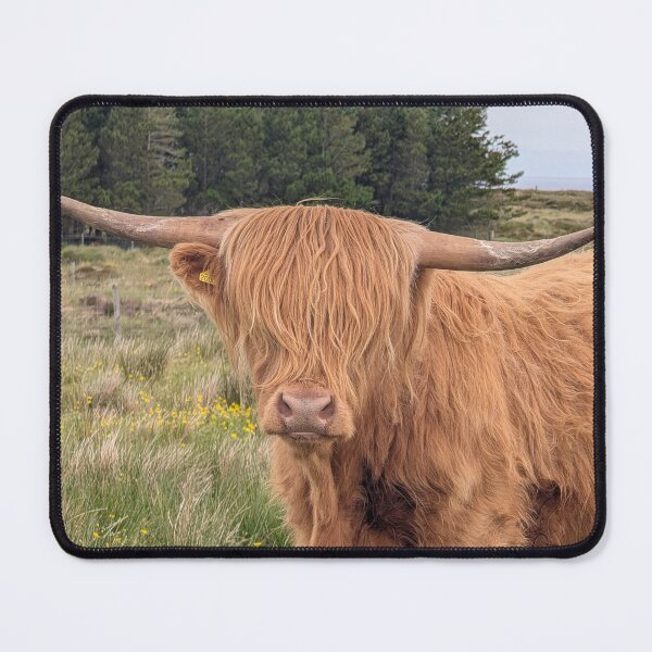 Item preview, Highland Cow Scotland Views designed and sold by orchiddesignco.