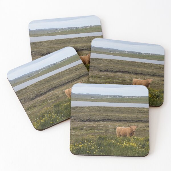 Item preview, Scotland Highland Cow Photograph designed and sold by orchiddesignco.