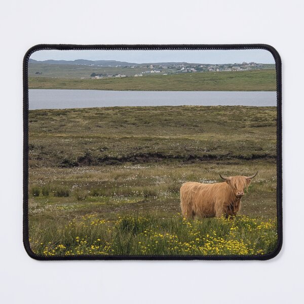 Item preview, Scotland Highland Cow Photograph designed and sold by orchiddesignco.
