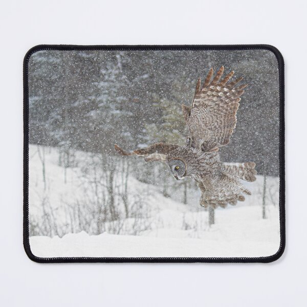 Item preview, Great grey owl in fight on a snowy winter day in Canada designed and sold by James Cumming.