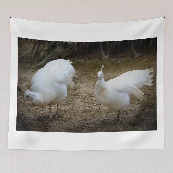 Item preview, Look Maud, that photographer's back again designed and sold by missmoneypenny.
