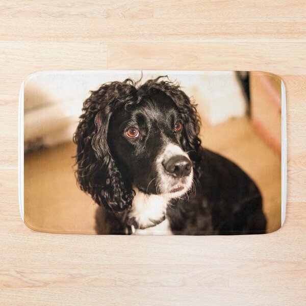 Item preview, English Cocker Spaniel Wall Art – Dog Portrait Print, Pet Owner Gift, Home Decoration designed and sold by leonwoods.