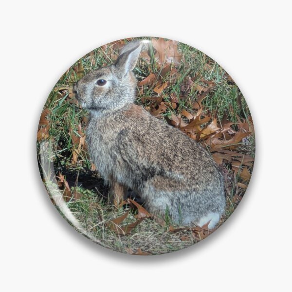 Item preview, Eastern Cottontail Rabbit designed and sold by Mallorymeanmom.