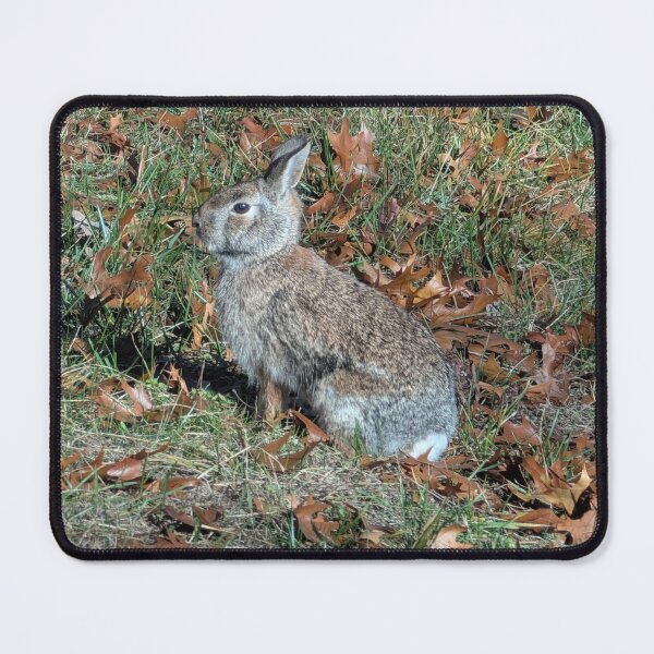 Item preview, Eastern Cottontail Rabbit designed and sold by Valerie Harrelson.
