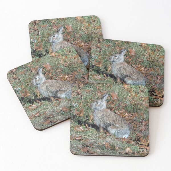 Item preview, Eastern Cottontail Rabbit designed and sold by Mallorymeanmom.