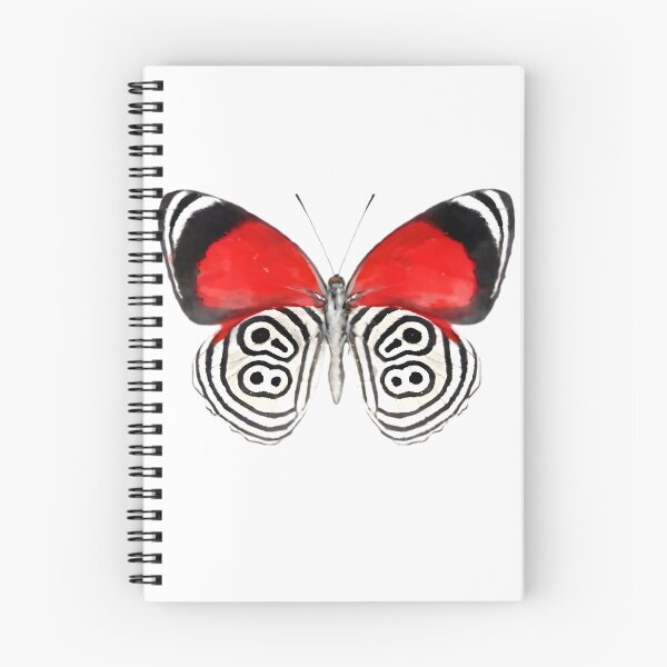 Item preview, 88 Butterfly (Diaethria clymena) designed and sold by HOMETOWN86.