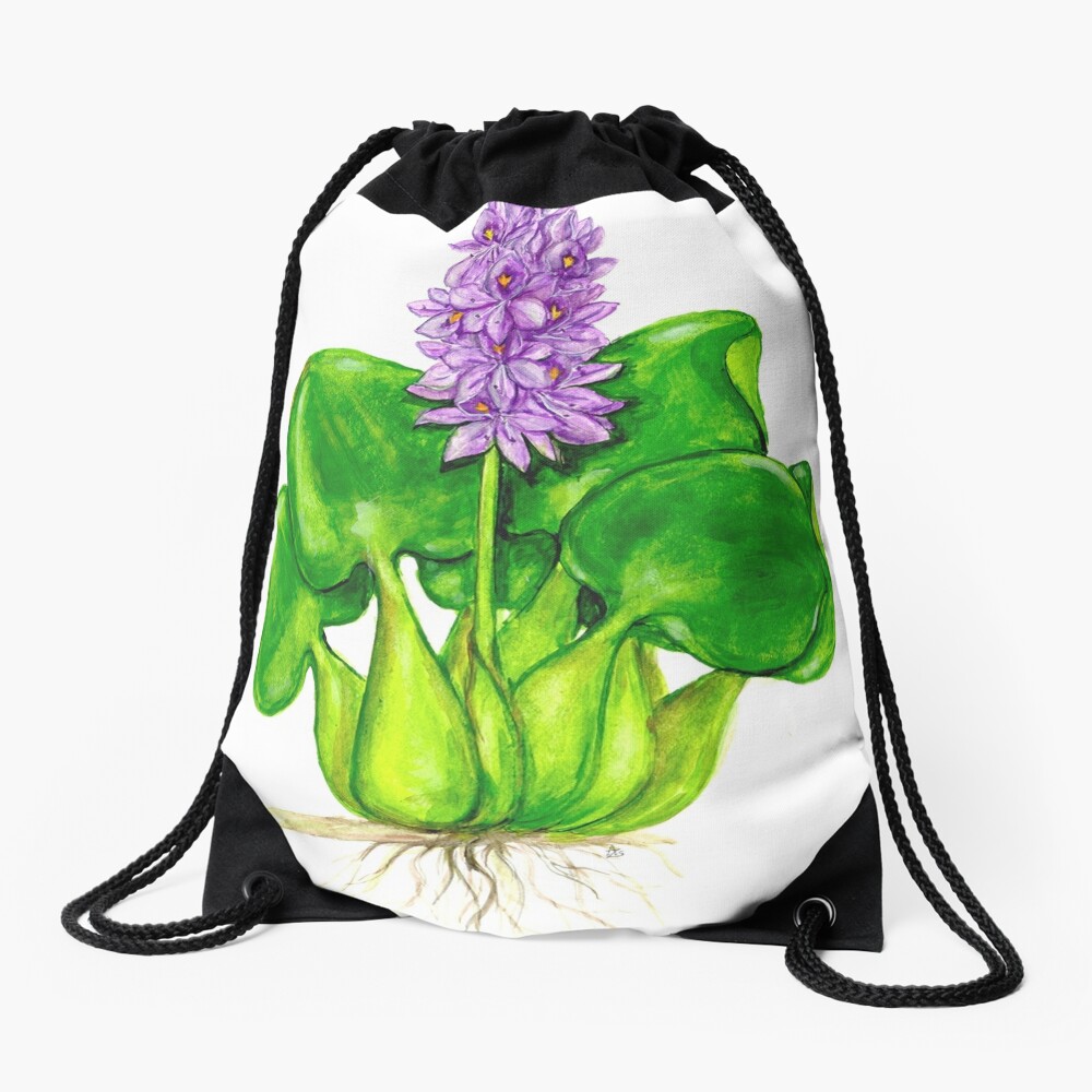 Seamless Pattern Drawing Flower Water Hyacinth Stock Illustration  2127770240 | Shutterstock