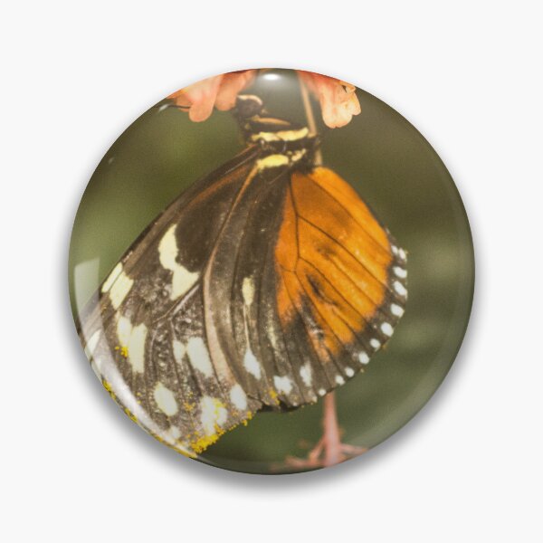Item preview, Golden Dusting designed and sold by James Rutherford.