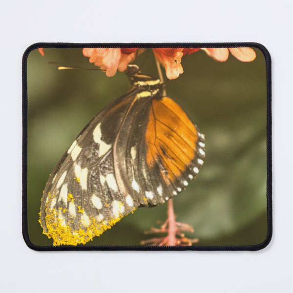 Item preview, Golden Dusting designed and sold by James Rutherford.