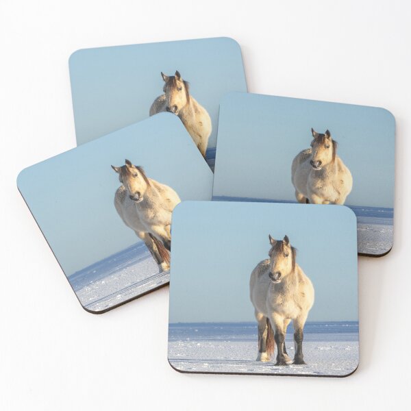 Item preview, Pony in the Snow designed and sold by Jane Stanley Photography.