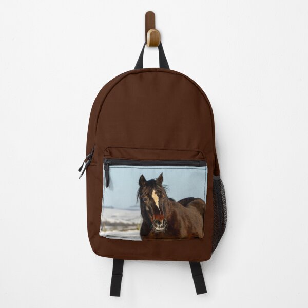 Item preview, Pony Close Up designed and sold by Jane Stanley Photography.
