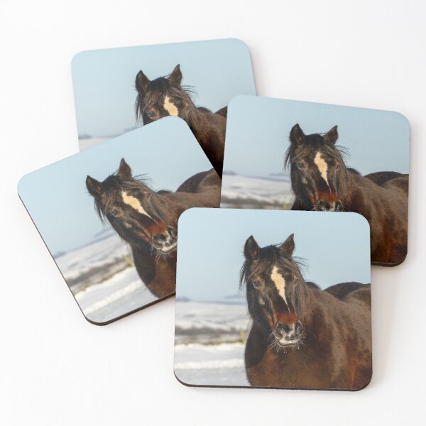 Item preview, Pony Close Up designed and sold by Jane Stanley Photography.