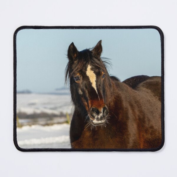 Item preview, Pony Close Up designed and sold by Jane Stanley Photography.
