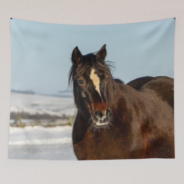 Item preview, Pony Close Up designed and sold by Jane Stanley Photography.