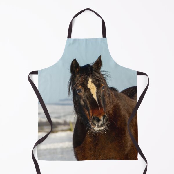 Item preview, Pony Close Up designed and sold by Jane Stanley Photography.
