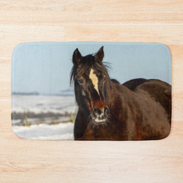 Item preview, Pony Close Up designed and sold by Jane Stanley Photography.