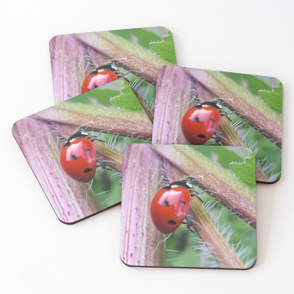 Item preview, Lady Bug from my garden in Cyprus - Good Luck! designed and sold by TB-73.