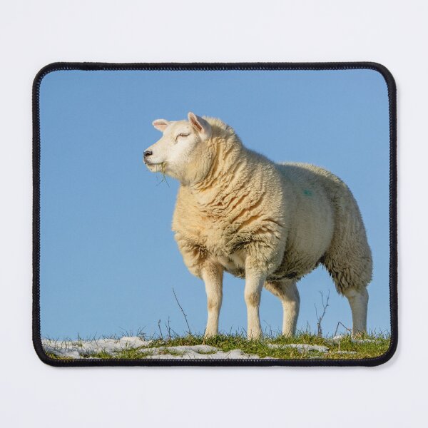 Item preview, Sheep in the Snow designed and sold by Jane Stanley Photography.