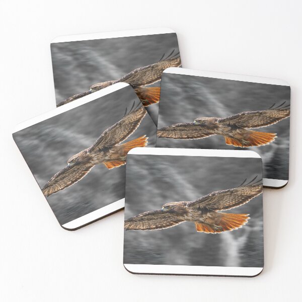 Item preview, Red Tail Hawk designed and sold by Northbound Visuals™.