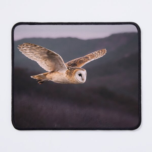 Item preview, Barn Owl designed and sold by Northbound Visuals™.