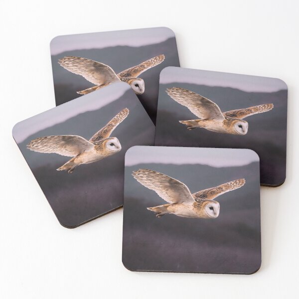 Item preview, Barn Owl designed and sold by Northbound Visuals™.