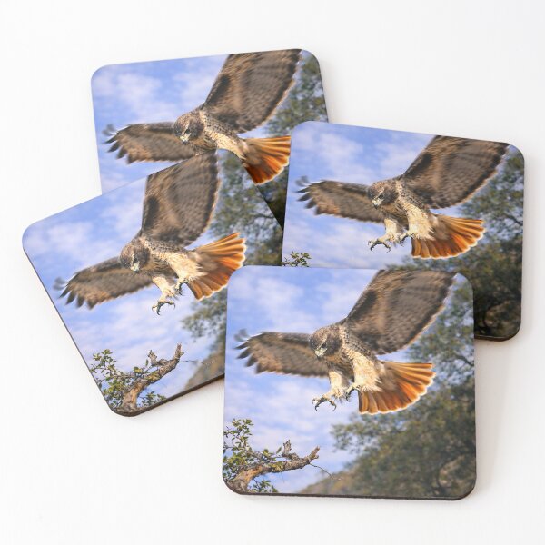 Item preview, Red Tail Hawk designed and sold by Northbound Visuals™.