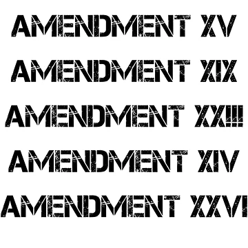 Artwork thumbnail, Voting Rights by PSCSCo