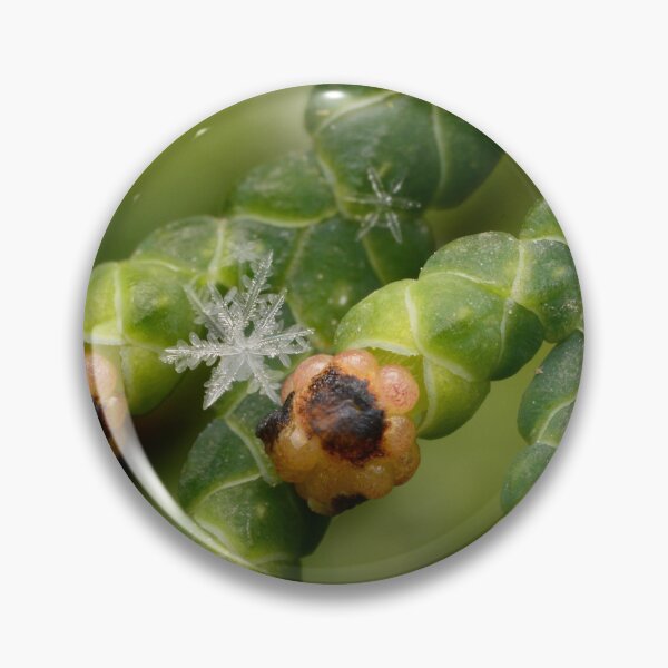 Item preview, Snowflake on Thuja Geometry Meets Evergreen designed and sold by Goiko7Margarita.