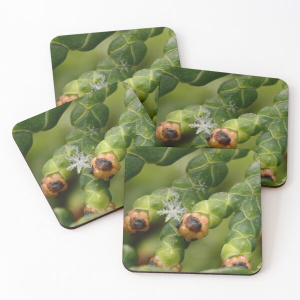Item preview, Snowflake on Thuja Geometry Meets Evergreen designed and sold by Goiko7Margarita.