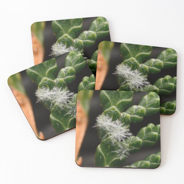 Item preview, Clustered Snowflakes on Thuja designed and sold by Goiko7Margarita.