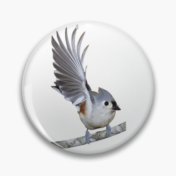 Item preview, Crested tit 1 designed and sold by di-Vera-Rosati.