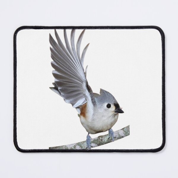 Item preview, Crested tit 1 designed and sold by di-Vera-Rosati.